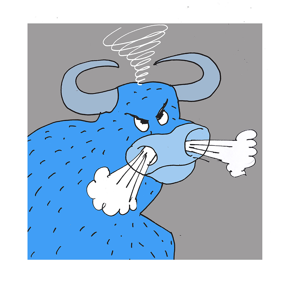 o touro é valente.jpg