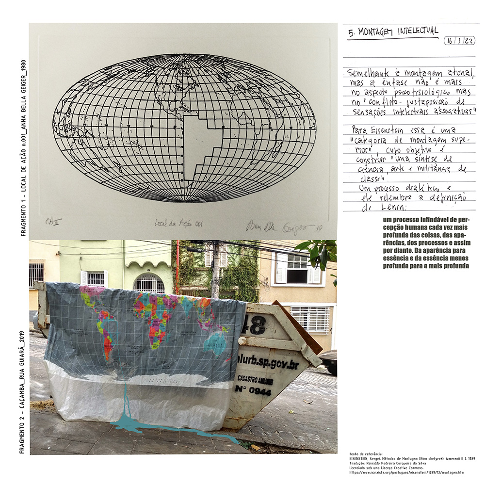 5 VideoBrasil montagem INTELECTUAL COMPAC.jpg