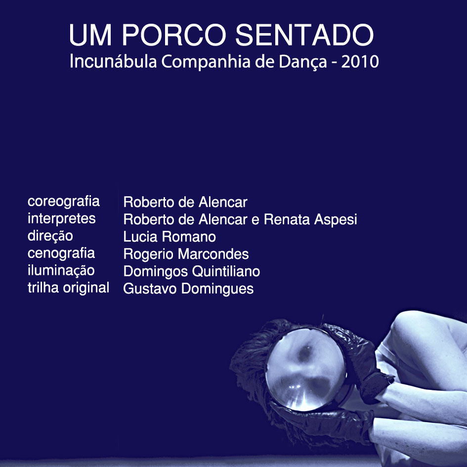 Porco sentado capa cor.jpg